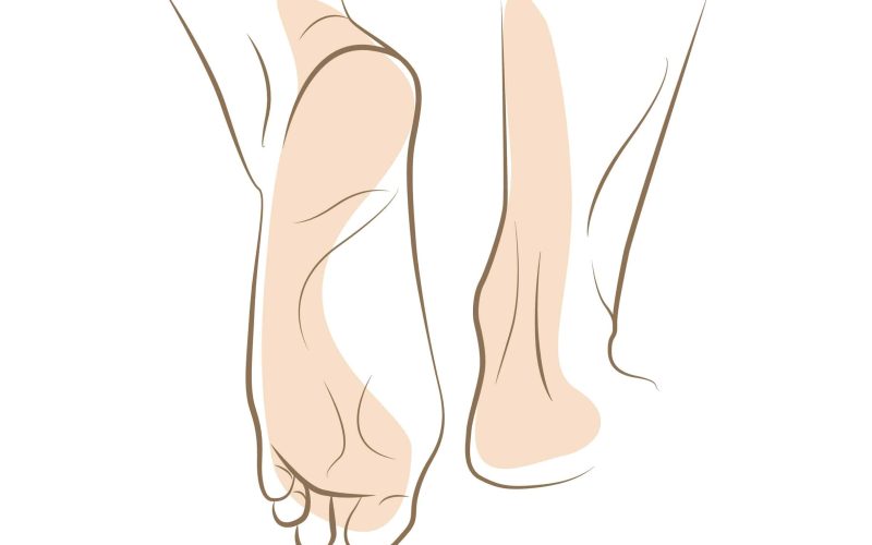 Woman foot sketch, drawn in vector lines